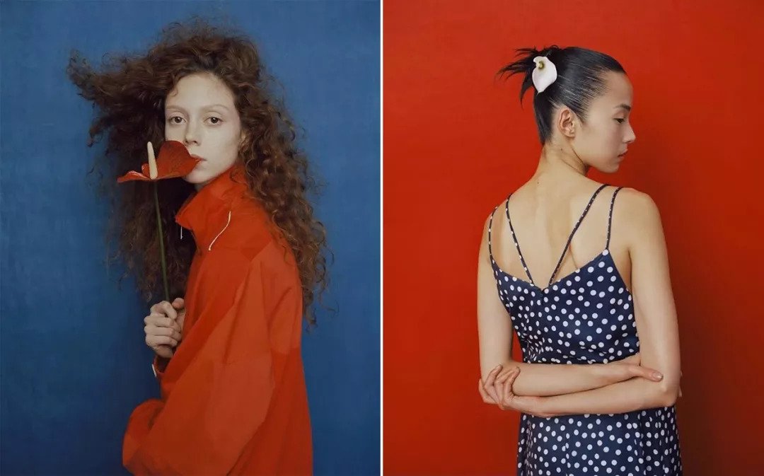 假笑男孩gavin蜥蜴,假笑男孩gavin