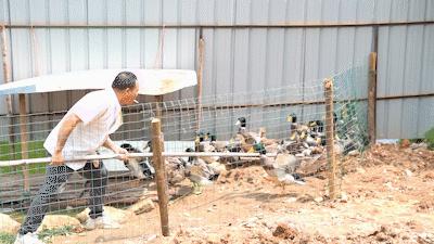 口碑最好的农庄老店,本地人带路