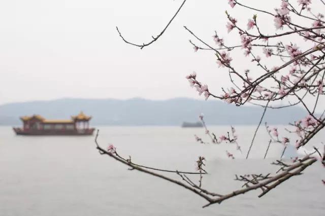 宽心星云大师完整版,星云大师宽心在线阅读