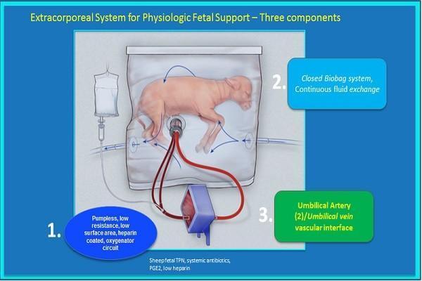 恩哥问答：假如“月经”变“年经”，人类会危若累卵吗？