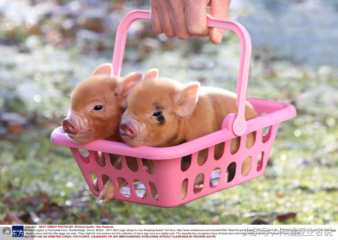 二年级上册必读书习题大全难度拔高能力提高