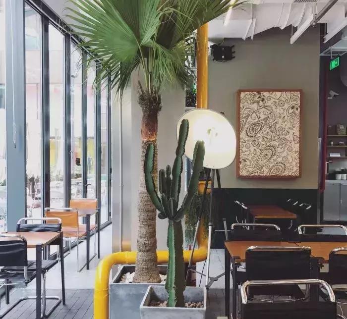 北京朝阳区咖啡店推荐网红打卡,北京咖啡店十大排行榜