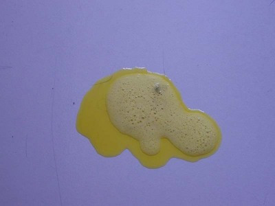 狗狗呕吐是饿的吗,狗狗呕吐是细小前期表现吗