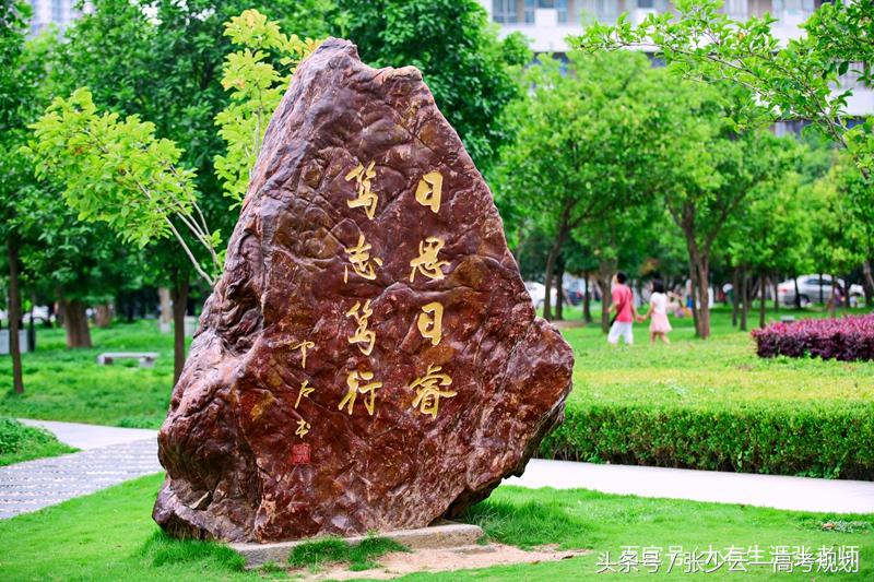 湖北大学的优势专业有哪些？