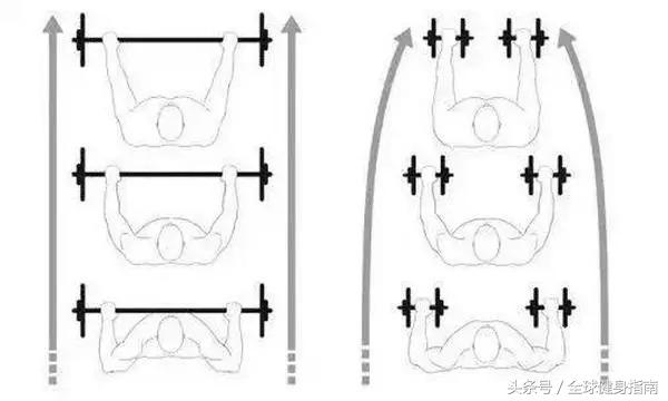 最好的胸肌形态是什么,最明显的胸肌