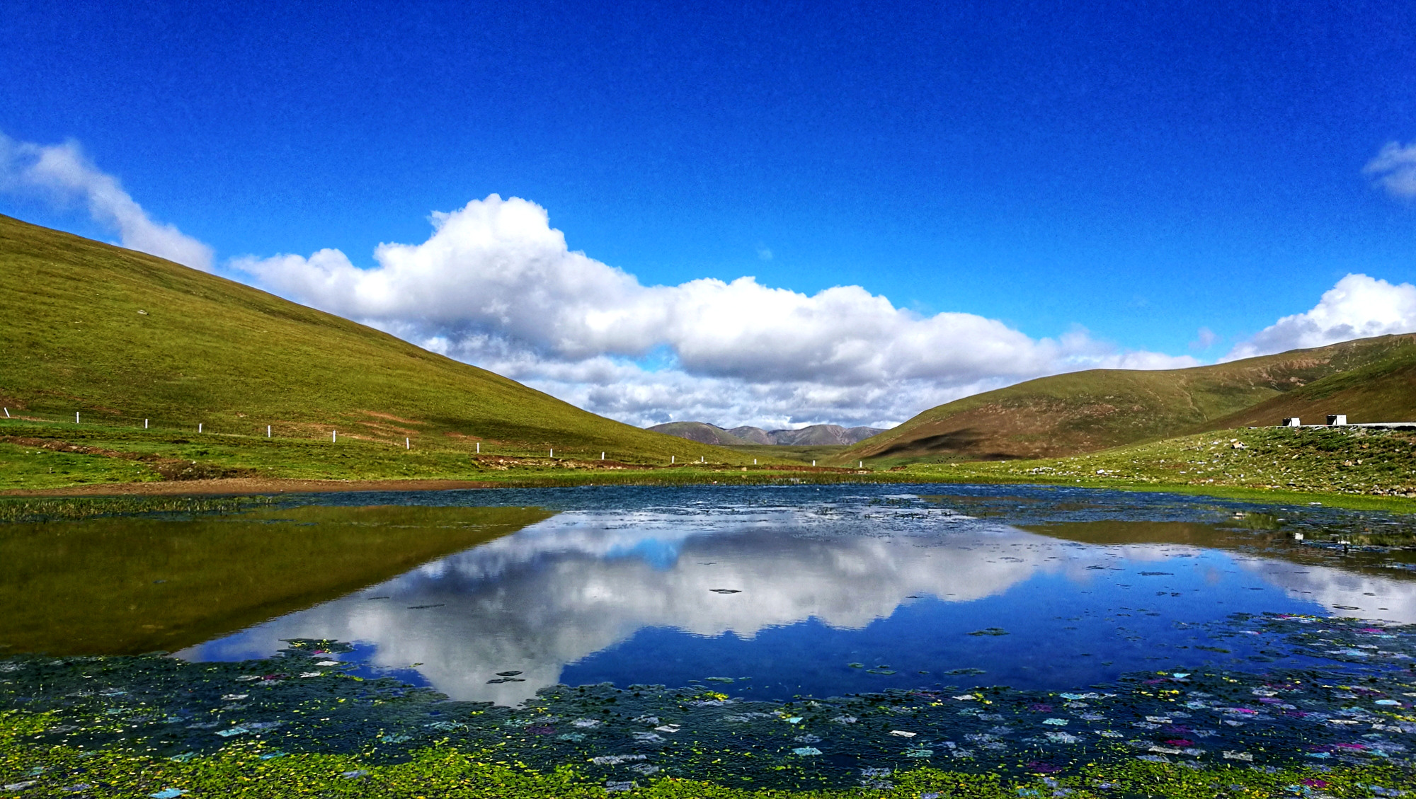 虔诚的心朝圣的路,虔诚的心信仰的力量