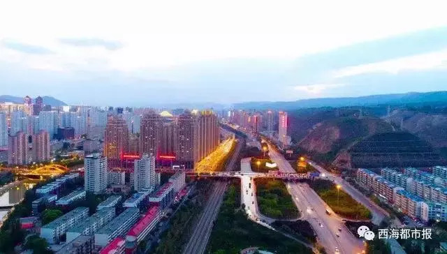 青海十大怪事完整视频,青海十大怪树