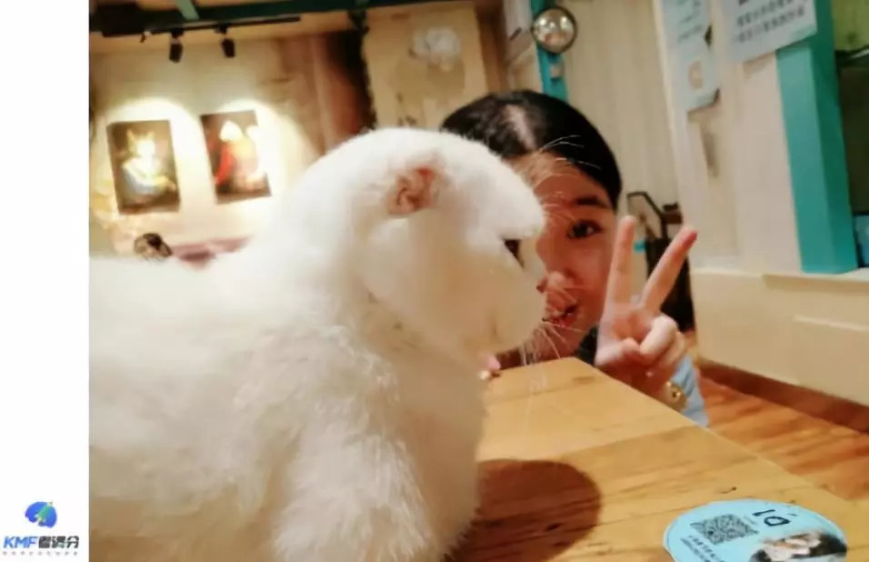 Verbal165，总分334！央财萌妹GRE二战的逆天分数是如何炼成的？