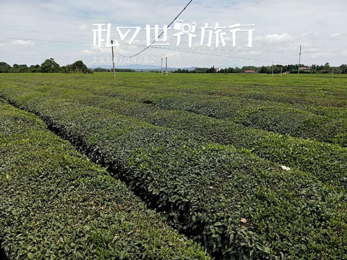 哈弗h6与吉利博越噪音哪个更好,吉利博越1.8t智享型行车记录