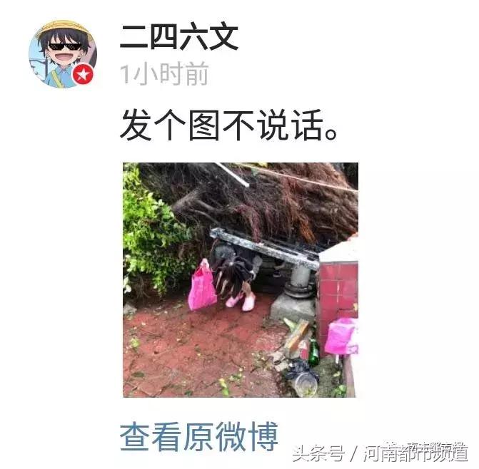 “山竹”过后首个工作日：广东人爬树都要去上班！