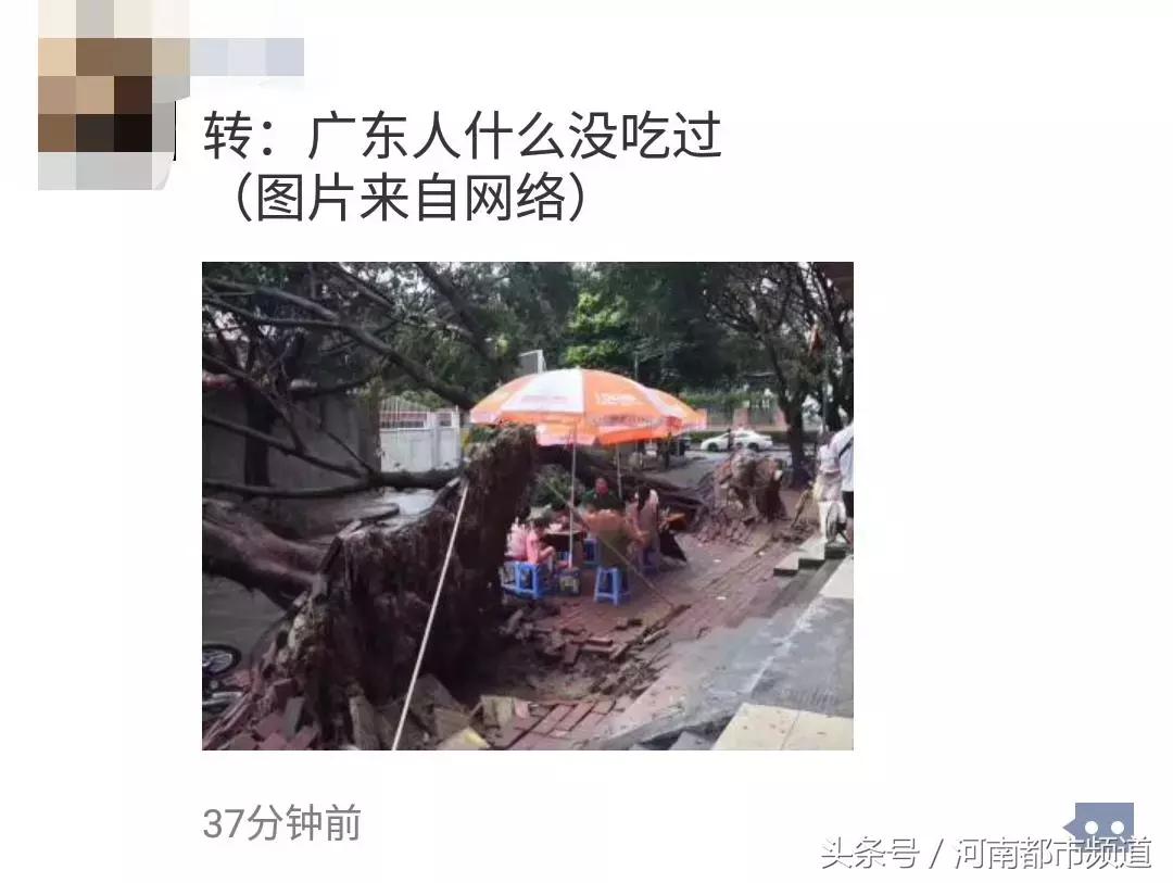 “山竹”过后首个工作日：广东人爬树都要去上班！