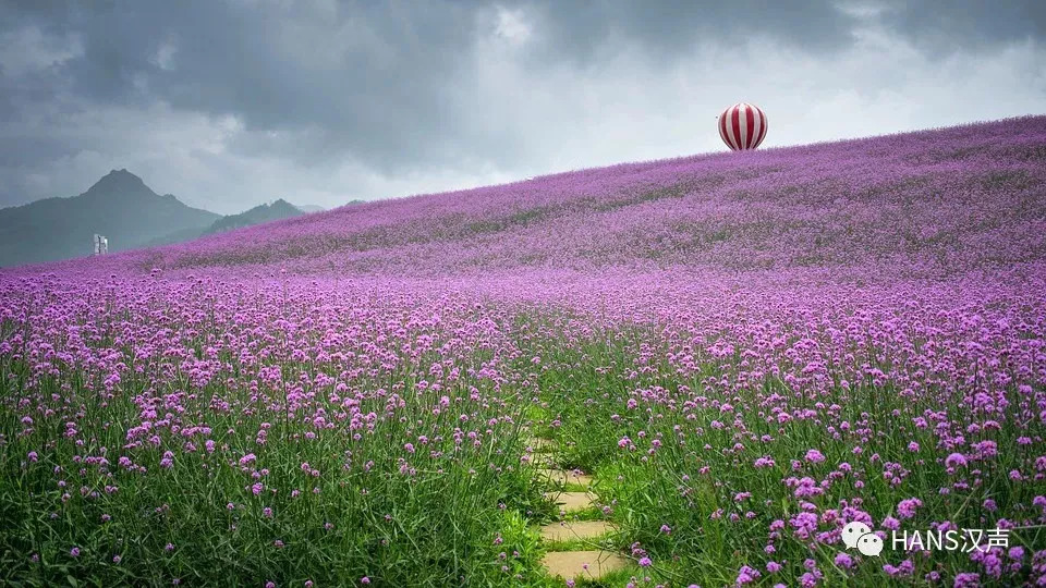 武汉发放100万张景点门票,武汉30万张门票免费预约