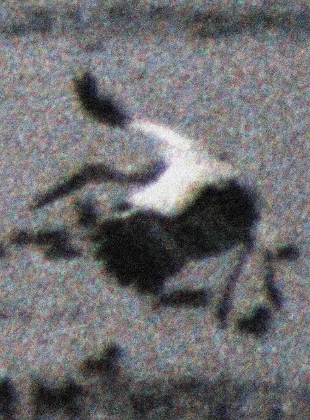 展讯|心师目:秋麦艺术展