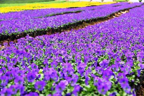 自驾游贵州荔波攻略最新,贵州自驾游万峰林黄果树瀑布荔波