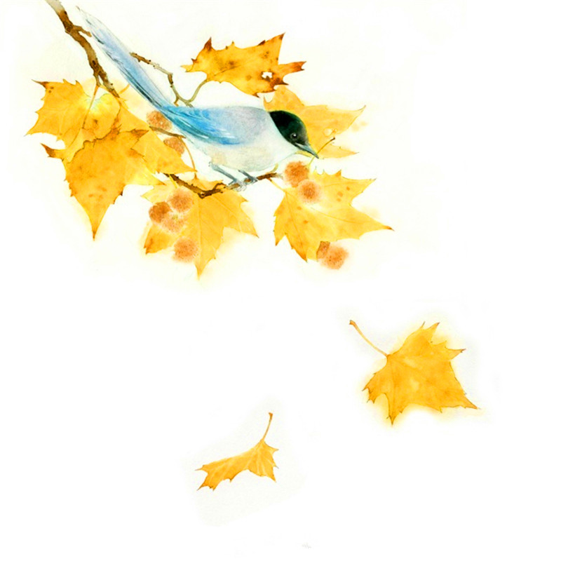 唯美且有深意的古风词语,爱情古风唯美成语