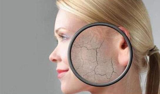 皮肤紧致怎么用英语表达,用英文表达皮肤状态