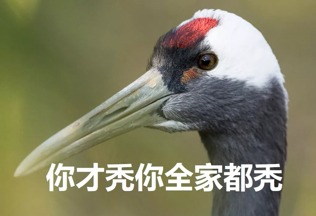 是毒还是药？毒死光绪的鹤顶红，也是白血病患者的救命药