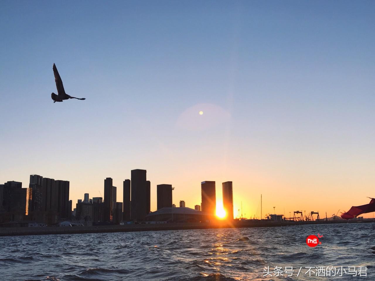 大连帆船出海最佳时间,大连帆船出海看日落