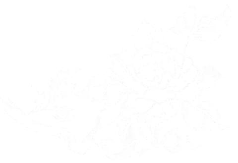 一份防骗指南请收好,一份防电信诈骗心得体会