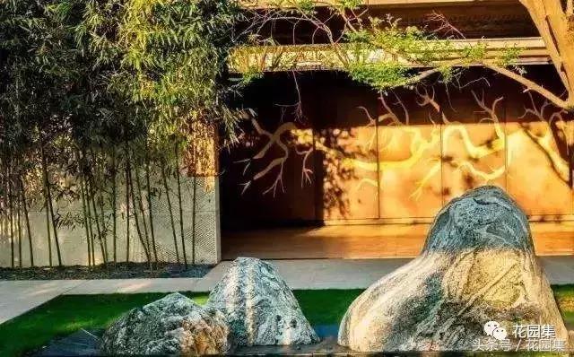 庭院栽什么树风水好,庭院最好的风水布局