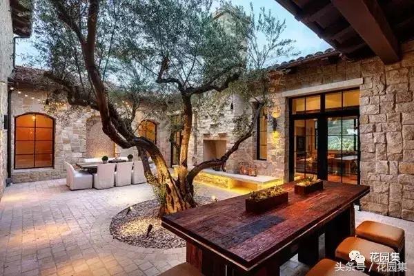 庭院栽什么树风水好,庭院最好的风水布局