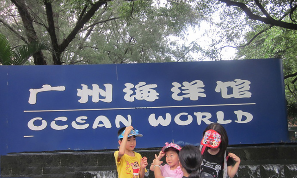 广州海洋馆和正佳海洋馆哪个好,广州比较好玩的海洋馆推荐