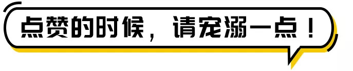 大陆收购国外港口名单,大陆集团收购了哪些公司