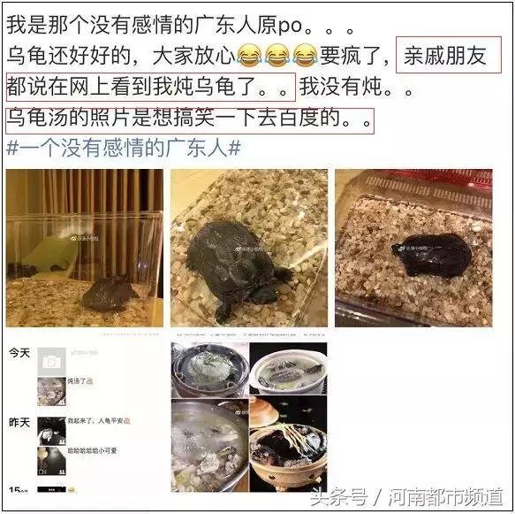 没有感情的广东人！台风天救起的乌龟，第二天就炖汤啦？