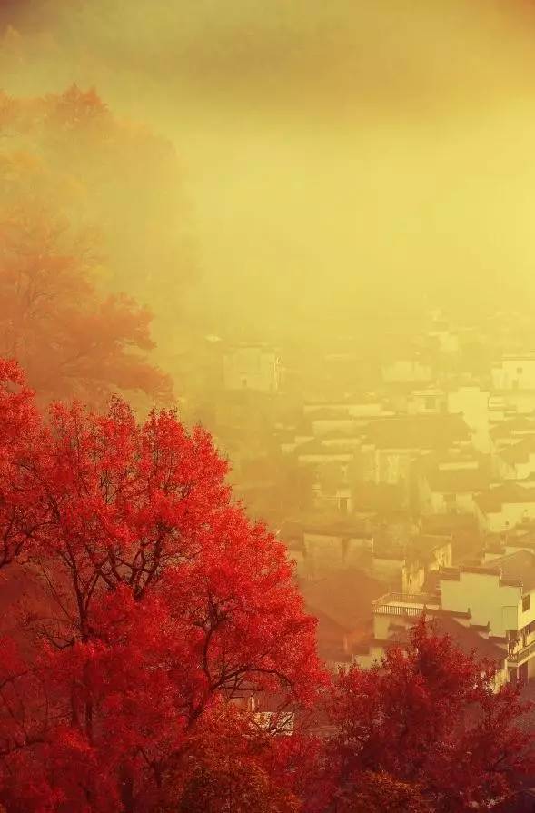 婺源10月,10-11月的婺源