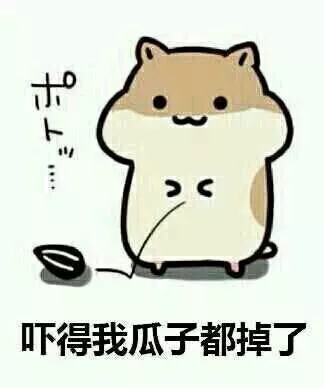 1万一件加拿大鹅卖500元,一万多的加拿大鹅值多少钱