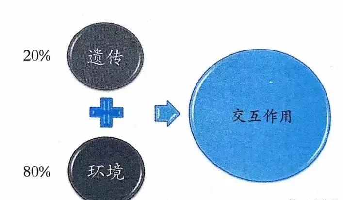 儿童近视有效的三个方法,儿童近视的四大误区