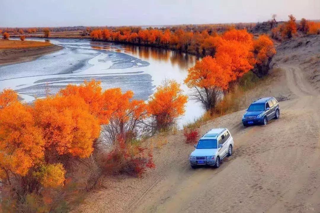 跟着大咖体验南疆最经典路线，玄奘东归路、沙漠胡杨、民俗风情！