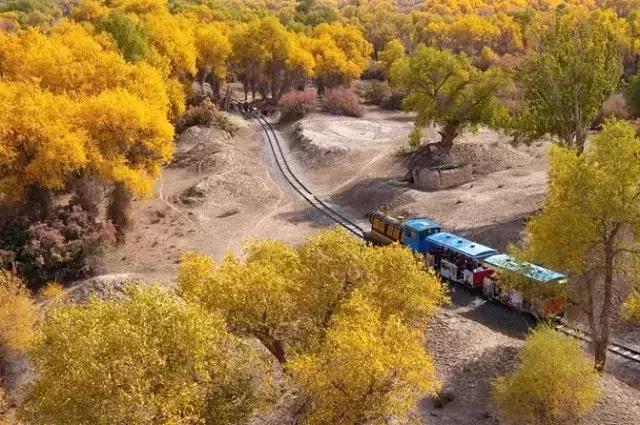 跟着大咖体验南疆最经典路线，玄奘东归路、沙漠胡杨、民俗风情！