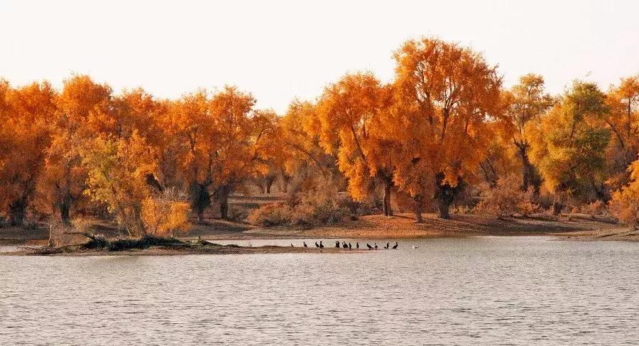 跟着玄奘西行,跟着唐僧去旅行观感和收获