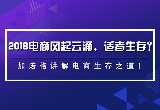 2018电商,2018电商运营