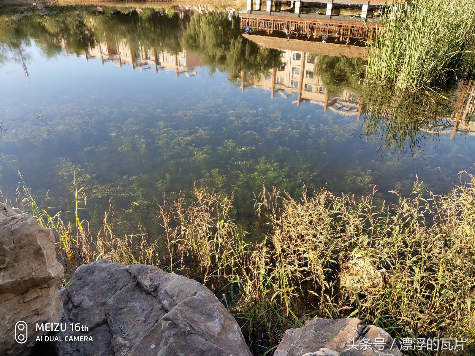 魅族16pro深度评测,魅族16评测蓝色字体