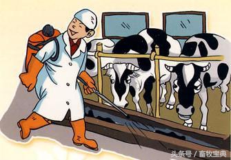 养牛跟我学第一篇第二章第二节