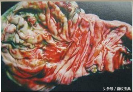 养牛跟我学第一篇第二章第二节