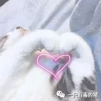 dior眼影盘,dior为什么叫cd