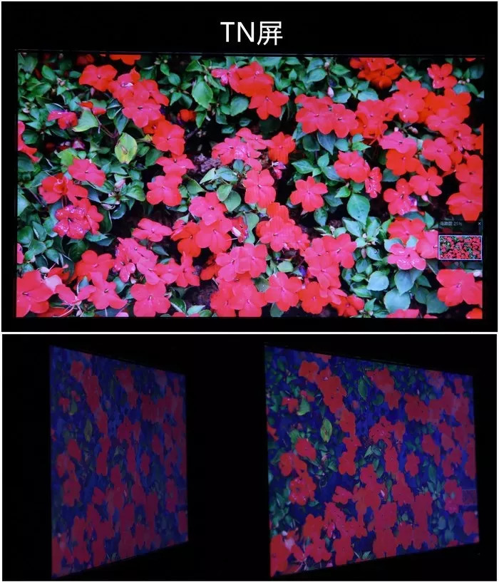 电竞显示器tn面板推荐,铅锤哥
