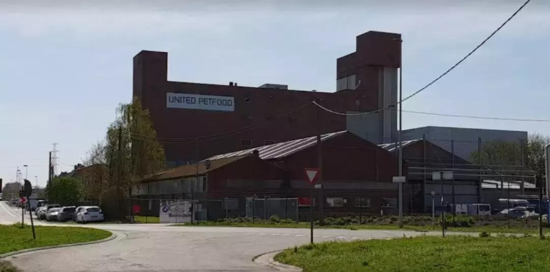 进口猫狗粮最新消息,常见进口猫狗粮品牌有哪些