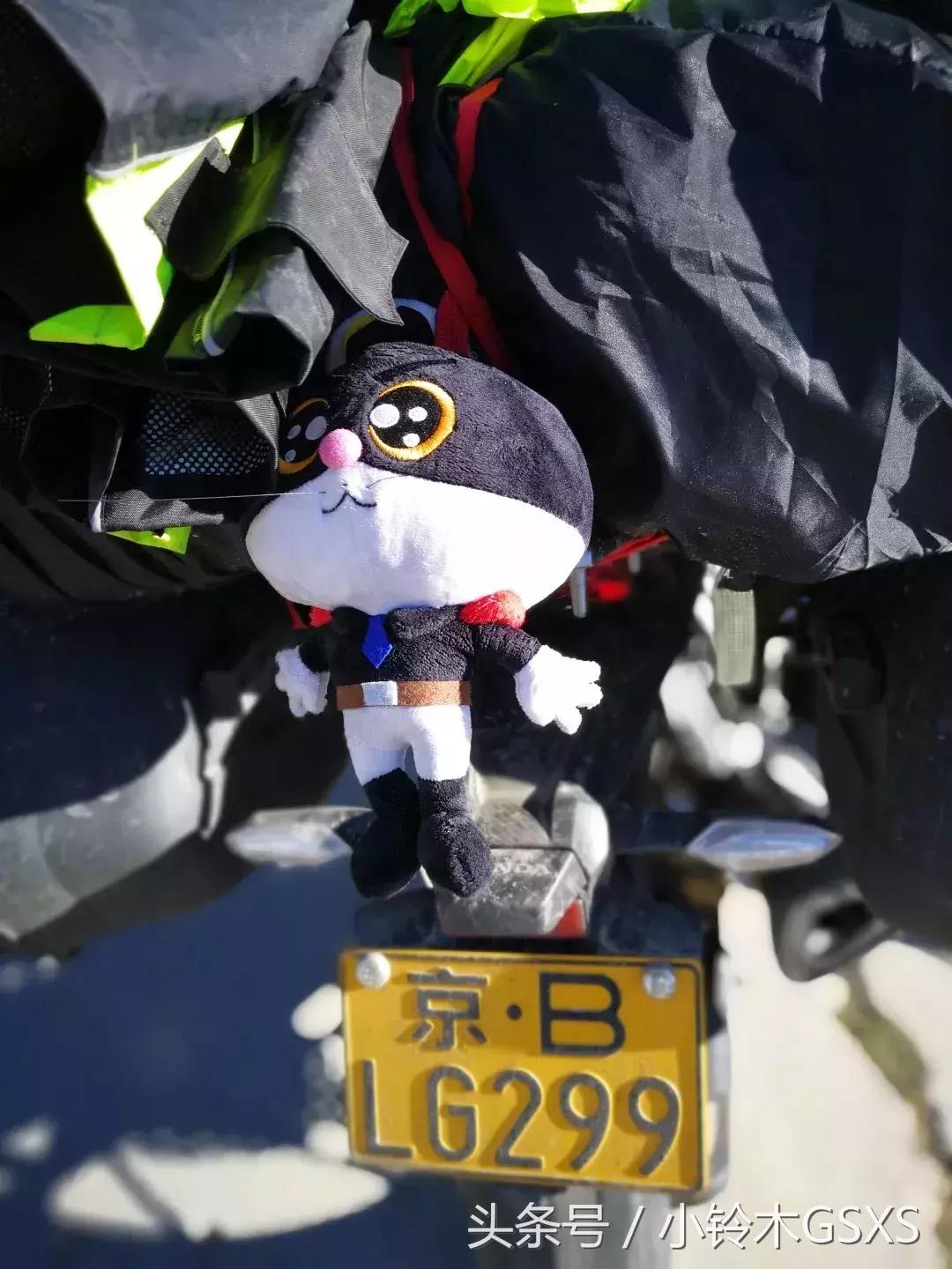 跑了5458km的猛鸷有话说？