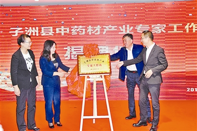 黄芪阁千年药乡,黄芪百年品牌