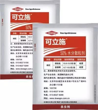 凉风至白露降寒蝉鸣下一句,夏天多肉小白虫消灭方法