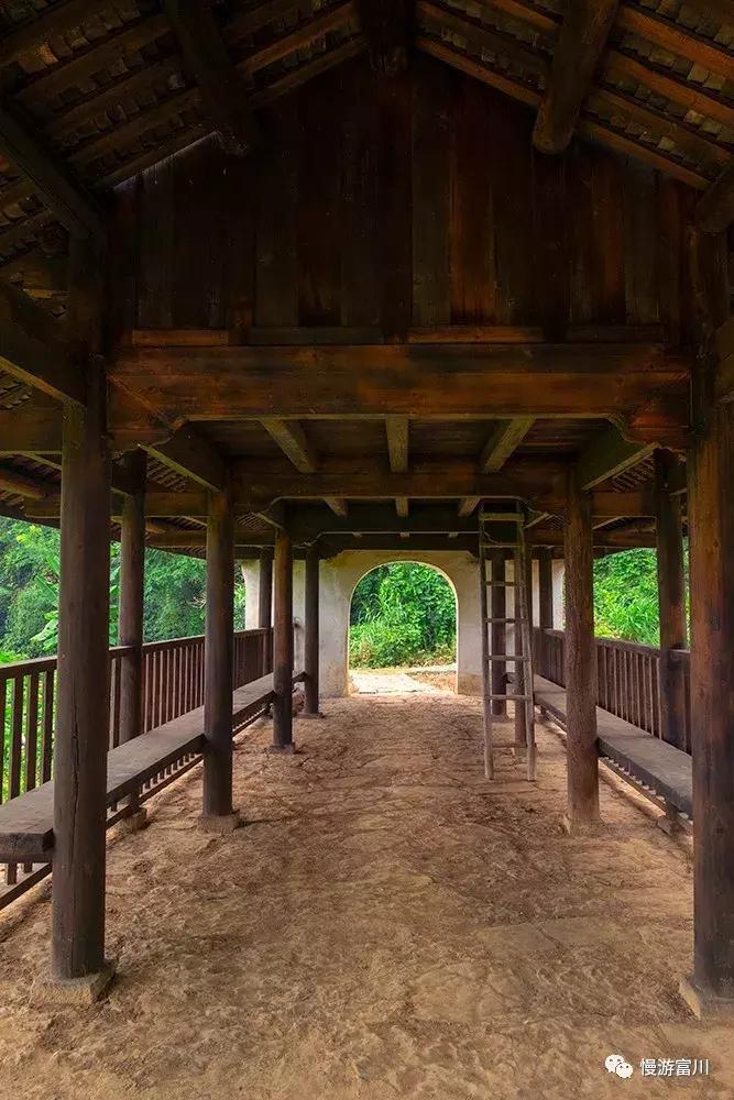 富川山清水秀,富川有树林的地方
