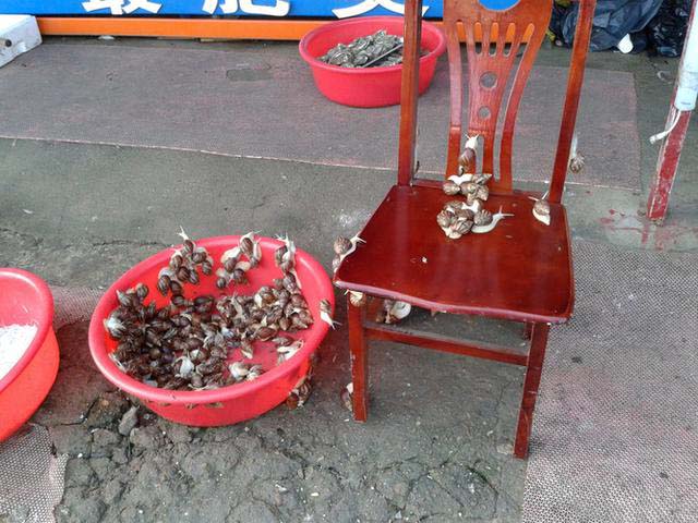 日照三日游自驾游最佳路线,日照三日游跟团价