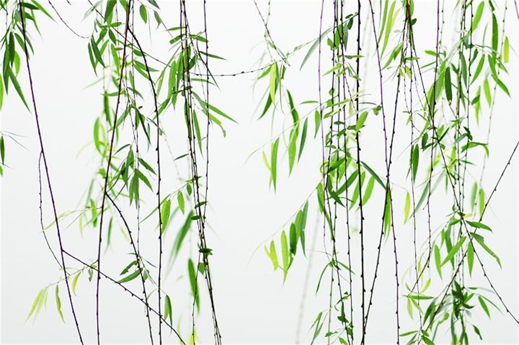 欧阳修给苏轼评第一名,苏轼是怎么称赞欧阳修的