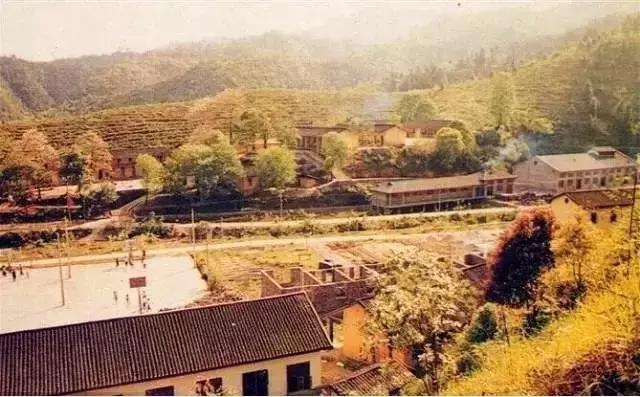 100张绝密南康老照片,100张信丰绝密老照片