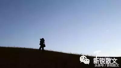 我的家乡肥西丰乐镇,我的家乡丰乐400字