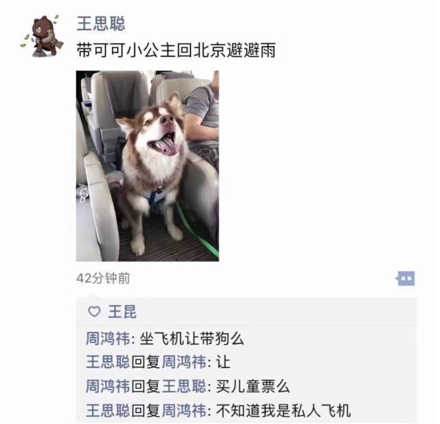 gucci鞋带免系,gucci鞋带原装正品